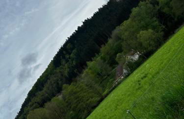 CAN appart spacieux avec grand jardin et terrasse 1 à 8 pers - Foto 23