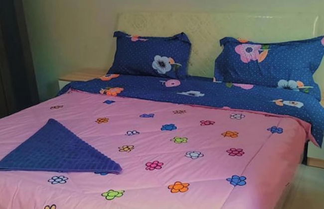 Fully Furnished Apartment Close to Amenities - Photo 1