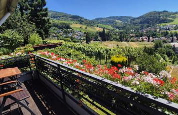 Renatas Ferienwohnung Stanel - Foto 42