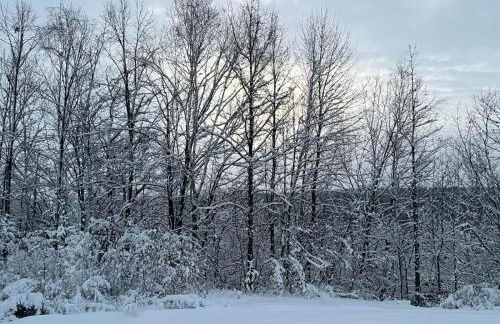 Maison Flambeau - Foto 39