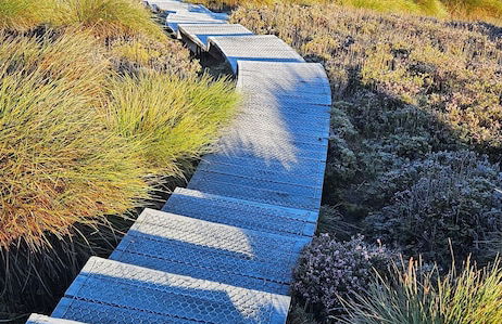 Penguin Retreat - Photo 34