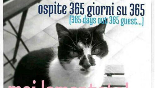 roseto holidays - Foto 4