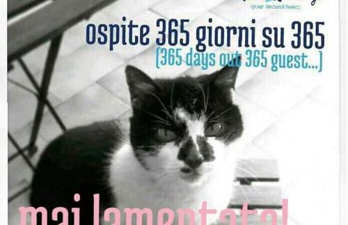 roseto holidays - Foto 4