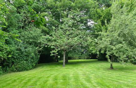 Ferienwohnung Baltrum auf dem Elisenhof Hagermarsch - Foto 17
