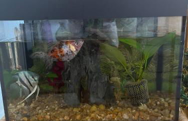 Ap Lagoa Top Vista Privilegiada - Foto 26