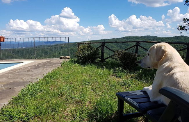 Agriturismo Sinciano - Foto 25