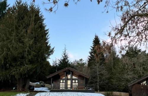 Bell Rock Holiday Lodge - Foto 6