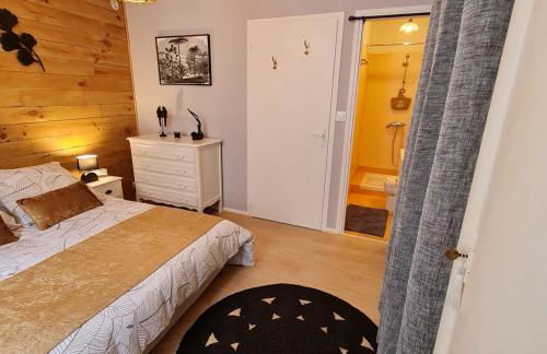 Bel appartement « Les Monts du Cantal » - Photo 6