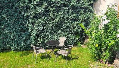 Ferienwohnung Frauenmarkt - Foto 3, Garden, Garden view