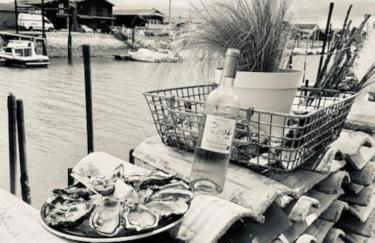 T3 duplex Port de La Teste Bassin d Arcachon - Foto 7