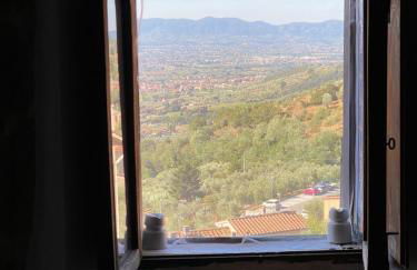 La Cannicciaia - Foto 10