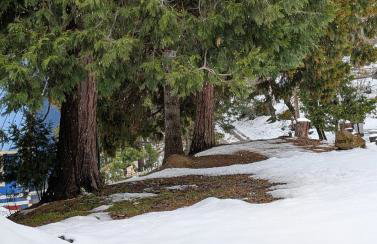 Peaceful Pines Place, a cozy mountain hideaway wAC - Foto 15