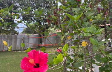 Sítio no Rio de Janeiro, privativo, Natureza, conforto e lazer em Nova Iguaçu, RJ - Foto 39