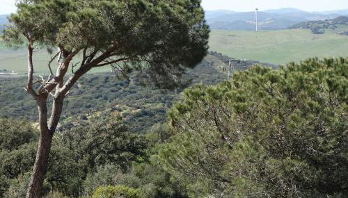 Alojamiento Rural El Lario - Foto 4