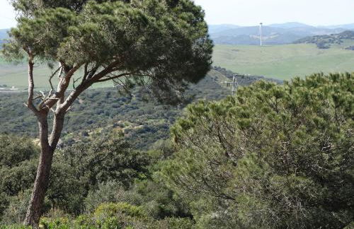 Alojamiento Rural El Lario - Foto 4