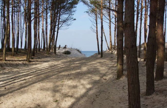 Air-conditioned Holiday Homes, 2 Bedrooms - Foto 24