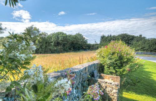 Pant Y Corn - Foto 9