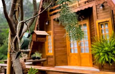 Chalé de Madeira em Vargem Alta - Photo 25