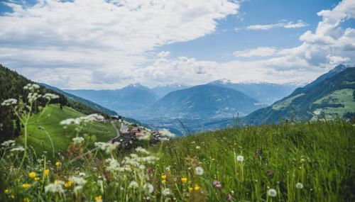Ferienwohnungen Wiesbauer - Foto 4
