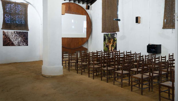 Step inside the Bodegas Álvaro Domecq