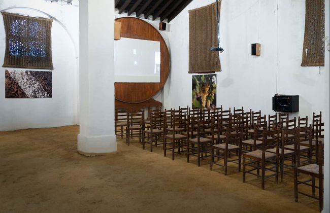 Visite des Bodegas Álvaro Domecq - Photo 2