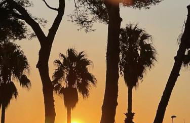 T3, vue mer,piscine, garage - Foto 27