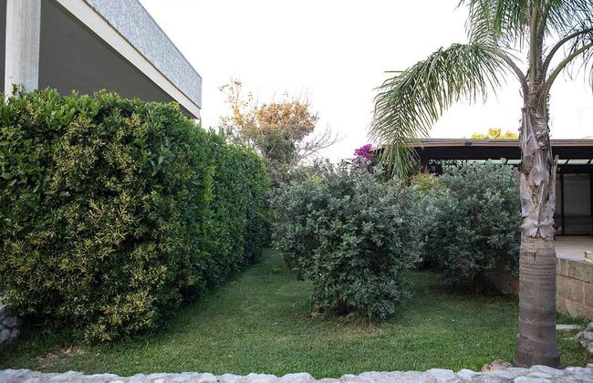 La Carcara - Photo 23