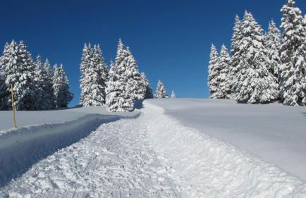 BelleVue centre, wifi, mountain view - Foto 47