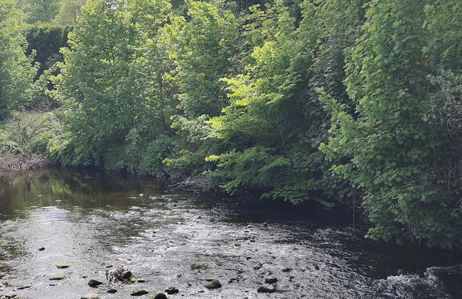 Castleview Large 3 Bedroom Family House - Glenarm - Foto 22