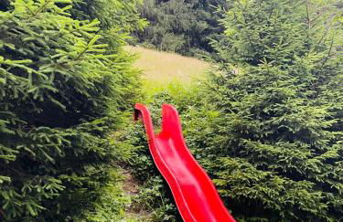 Dharma Farm Retreat - Foto 23