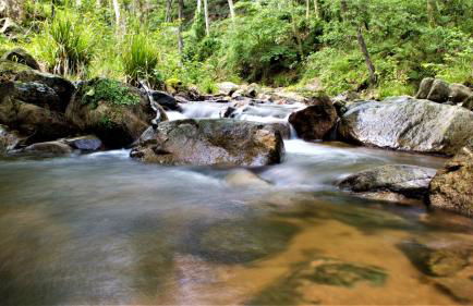 Mas Can Calet Aparthotel - Foto 15