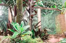 Maresias Boutique House - Foto 43