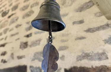 Les hortensias - Foto 7