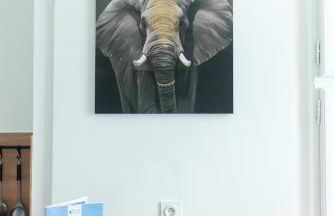 L'ELEDAURAT - Centre ville Riom - Idéal professionnel - Proche Clermont Ferrand - Foto 19