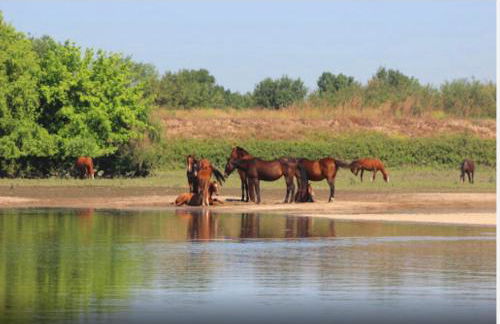 Casa River Sun - Foto 31