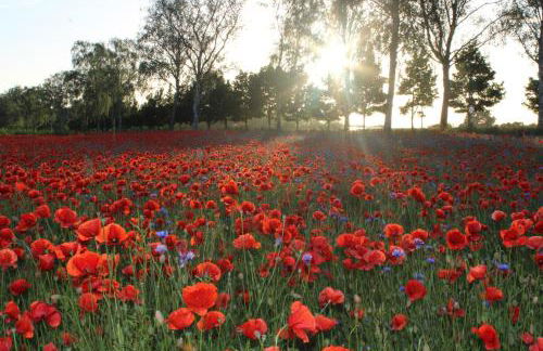 Ferienwohnung SEA - Foto 24