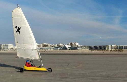 Joie de vivre le touquet - Foto 31