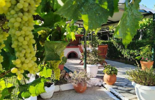 The Pergola Cottage...Feel the local vibes! - Foto 35