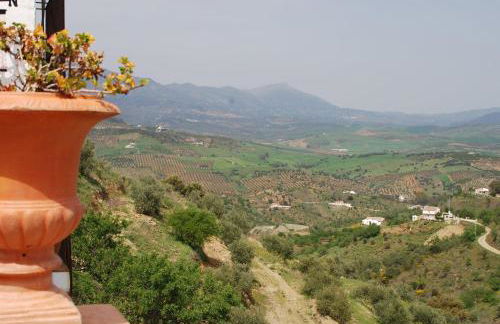 B&B Hacienda Guaro Viejo - Foto 23