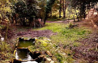 Il Bosco del Lebbio - Foto 23