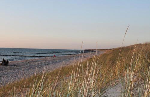 "Koppeldeich" - Foto 15