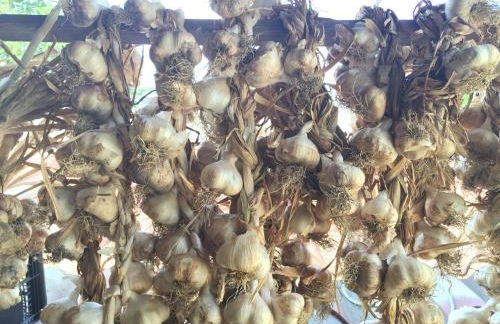 Agriturismo La Dimora dei Cavalieri - Photo 11