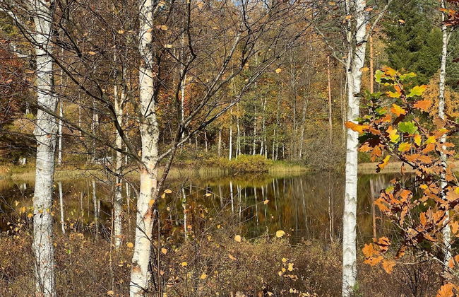 4 Person Holiday Home in Hillerstorp-by Traum - Photo 12