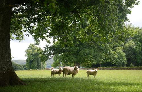 Old Leckie Farmstay - Foto 42