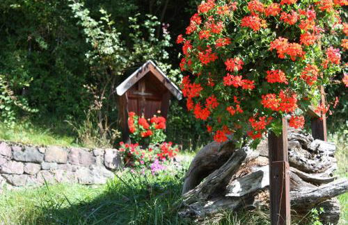 Ferienbauernhof Masunerhof - Foto 32