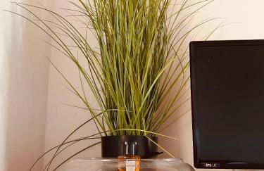 The view cozy home - Foto 37