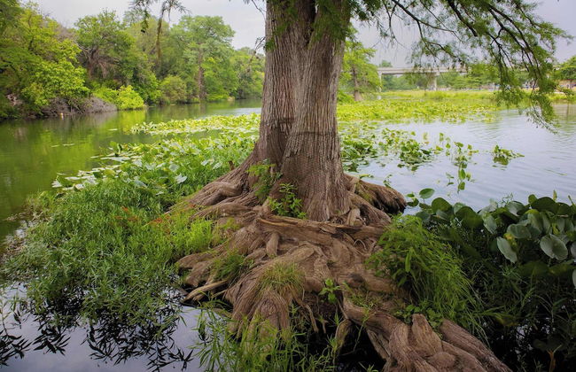 Mariposa Buckeye Retreat for 2 - Foto 10
