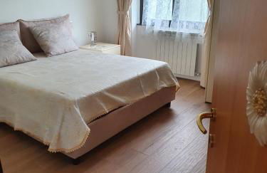 Le palme Antonella - Foto 22