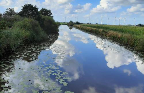 harle-casa.ostfriesland - Foto 61