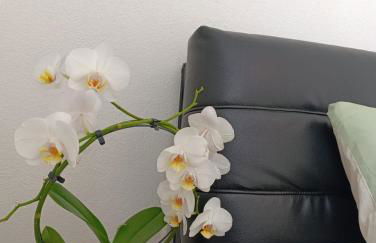 Ferienwohnung Mergel in Black Forest - Foto 1